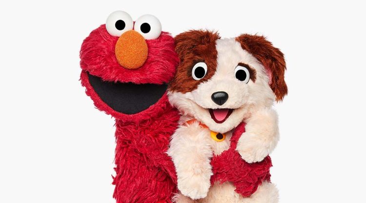 Elmo and Tango the puppy