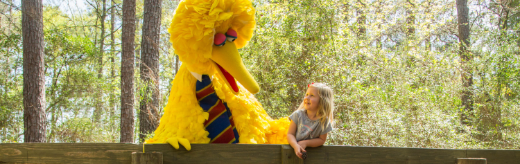 Big Bird and a young girl smile at each other in scenic foliage