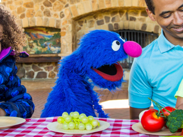 Family at a picnic with Grover.